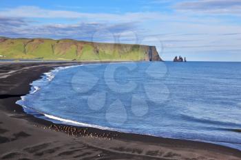 Huge arched beach with black sand. On the horizon are visible rocks in the sea. Cape Dirholaey in southern Iceland