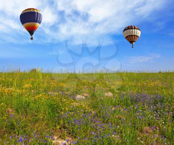 Flowering Golan Heights on a sunny day. Two huge and beautiful balloons fly over a flowering field