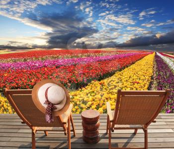 Two deck chairs on the platform are at the colorful flower fields. At one hanging elegant straw hat. Spring blooming buttercups grow stripes of different colors