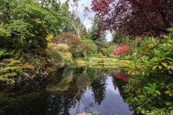 Fantastic floral Butchart Gardens on Vancouver Island, Canada. Quiet pond, overgrown with lilies, among the weeping willows