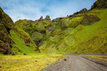 The summer blossoming Iceland. A canyon Pakgil - green grass and moss on fantastic rocks. On canyon there is dirt road
