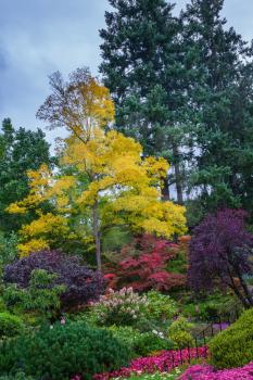 Scenic decorative beautiful landscaped park-garden. Butchard Garden on Vancouver Island, Canada.