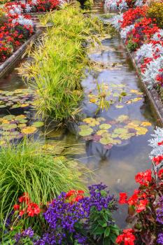 Small pond, overgrown with flowers. Delightful landscaped and floral park Butchart Gardens on Vancouver Island
