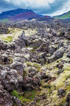  Fields covered with lava, in the central part of the island. Gloomy Iceland in the summer