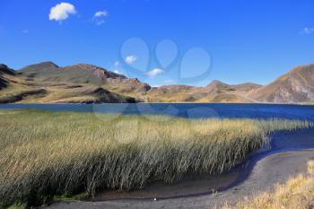 Heavy wind Patagonia. The National Park Torres del Paine. Lake with bright blue water, overgrown with high grass
