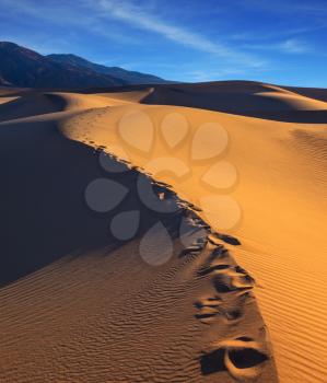 Along the edge of the sand dunes is a chain of deep tracks. Sandy Desert in Mesquite Flat, Death Valley, USA