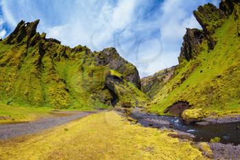 At the bottom of canyon flows small creek fast. Summer blooming Iceland. Pakgil Canyon - green grass and moss on rocks