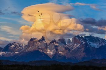 Sharp curved peaks rocks Los Quernos. Under the clouds flying flock of Andean condors. Sunset in the national park Torres del Paine, Chile