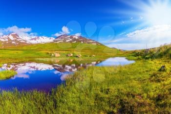 Blue lake water reflects snow hills. Fields grew with  fresh green grass. Iceland in July