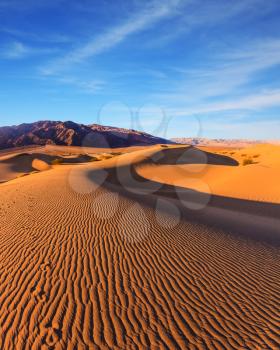  Sunrise in desert in Mesquite Flat, Death Valley, USA. Waves of orange sand on top of the dunes. The photo was taken Fisheye lens