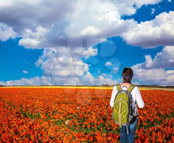 Woman - tourist with backpack admiring the floral field. Concept of rural and recreational tourism. The bright southern sun illuminates the fields of red garden buttercups