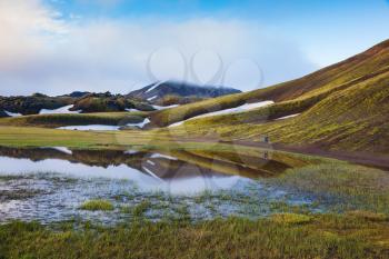 Early summer morning in the National Park Landmannalaugar, Iceland. Snow lies in the hollows of colorful rhyolite mountains. Green Valley is flooded with melt water