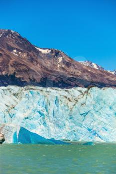 Massive glacier descends into the water.  The picturesque  shore of Lake Viedma. In the water ice-floes, broken away from glacier