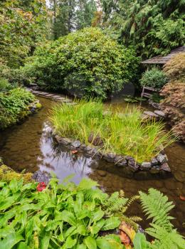 Japanese garden. Small quiet pond, overgrown with lilies. Scenic decorative park Butchart Gardens on Vancouver Island, Canada