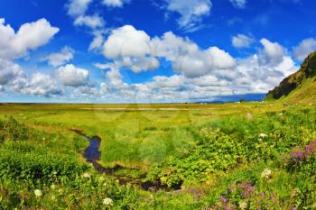 Green fields and streams near the giant ice plateau. Iceland in July