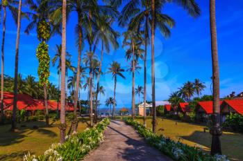 Popular resort on the island of Koh Samui. Walkway to the sea surrounded by palm trees. Rest of the Andaman Sea