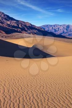  Gentle slopes of sandy barkhans shine orange light. Bright solar morning in picturesque part of Death Valley. Mesquite Flat Sand Dunes