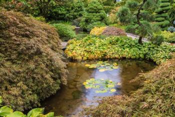 Quiet little pond with lilies. Scenic decorative park Butchart Gardens on Vancouver Island, Canada