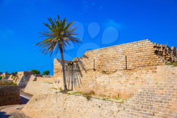 Deep protective moat around the ancient Caesarea, Israel. Lone palm tree growing on the rocks