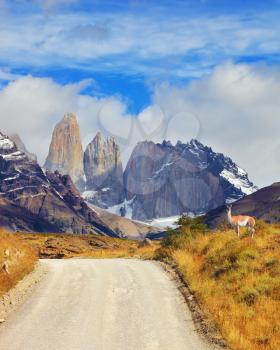 National Park in southern Chile. Dirt road to the famous Torres del Paine rocks