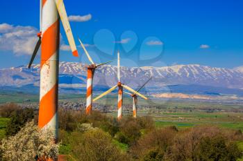 The blossoming Golan heights in a sunny day. Some huge modern windmills. In the distance snow-covered Hermon is seen. Israel