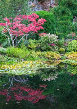 Amazing landscape and floral park Butchart Gardens on Vancouver Island. In a small pond, overgrown with lilies, reflected trees and flowers