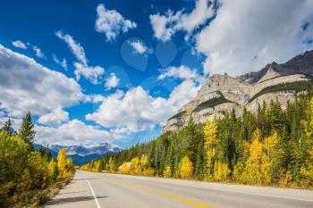 Excellent highway and surrounded by autumnal woods. Travel to the Bow River Canyon in September.  Canadian Rockies, Great Banff