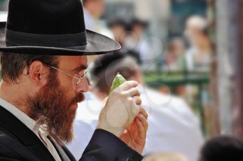 Bnei Brak - September 22: An orthodox Jew in glasses and black hat picks citrus before the holiday of Sukkot September 22, 2010 in Bnei Brak, Israel