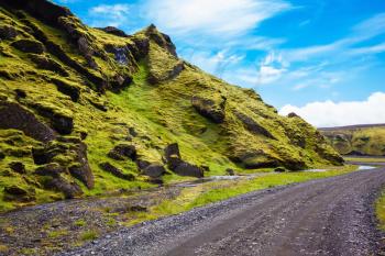 The summer blossoming Iceland. Canyon Pakgil - green grass and moss on fantastic rocks. On canyon there is dirt road
