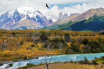 Scenic National Park in southern Chile.  River and waterfall Cascades Paine