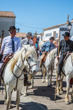 Sent-Mari-de-la-Mer, Provence, France - May 25, 2015. World Festival of Gypsies. Convoy on white horse before start of the parade. The concept of ethnographic tourism