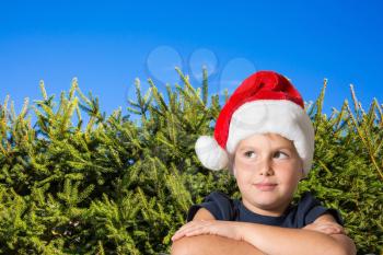 Very handsome eight years old boy in a red cap of Santa Claus smiling. Background - green hedge firs