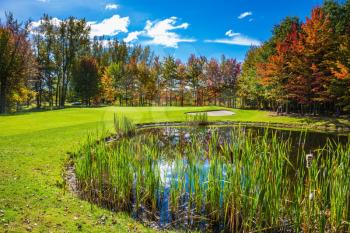 Concept of recreational tourism. Shining day in French Canada. Charming  pure pond overgrown with reeds. Autumn foliage reflected in clear water of the pond