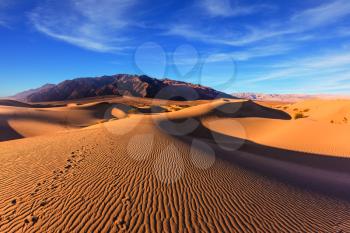 Waves of orange sand on top of the dunes. Sunrise. Desert in Mesquite Flat, Death Valley, USA. The photo was taken Fisheye lens