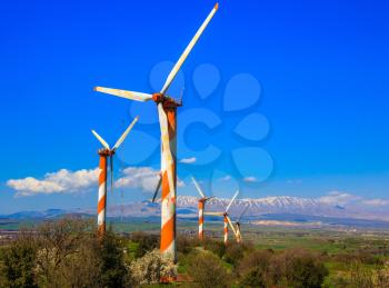 Israel. Several huge modern windmills. Seen in the distance the snow-covered Hermon. Flowering Golan Heights on a sunny day