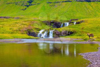 Mountains and waterfalls. Cloudy day in Iceland. Cascade Falls on the green grassy hill
