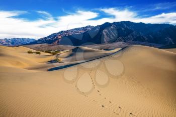 Mesquite Flat Sand Dunes. Hot autumn in Death Valley, California. Windy and hot morning in the desert