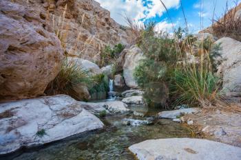 Picturesque rocky gorge with  noisy waterfall and rapid creek. Ein-Gedi - the reserve and national park of Israel