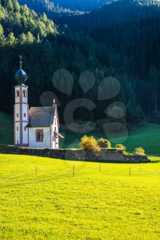  Tirol, Dolomites. The church of Santa Maddalena in valley Val di Funes. Forested mountains surrounded by green Alpine meadows. Sunny warm autumn 