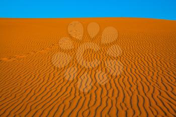 The small waves of orange sand. Early morning  in a picturesque part of Death Valley, USA. Mesquite Flat Sand Dunes