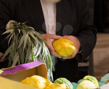  Sale of ritual plants on the traditional pre-holiday market in the capital of Israel, Jerusalem. The buyer chooses the citrus - etrog. Ancient Jewish holiday Sukkot