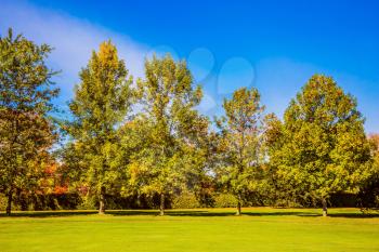 The concept of active and Golf tourism. Golf Club in French Canada. Green grass golf course is surrounded by autumn scenic park