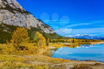Concept of ecological and active tourism. Rocky Mountains are reflected in the smooth turquoise water of the Abraham lake