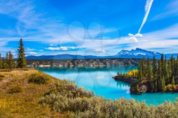 Rocky Mountains in the Indian summer. In the blue sky silver trace of the plane. Magnificent turquoise Abraham Lake. The concept of ecological and active tourism