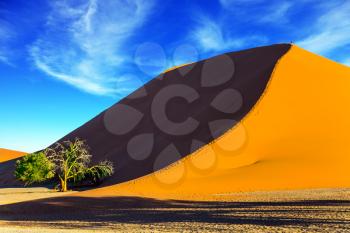 Giant violet-orange dune and small lonely tree in the Namib Desert. Namibia, South Africa. The concept of extreme and exotic tourism
