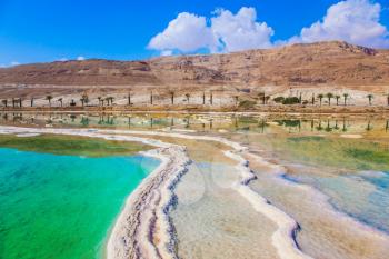  Therapeutic Dead Sea, Israel. Picturesque stripes of salt on the shallow seashore. The concept of medical and ecological tourism