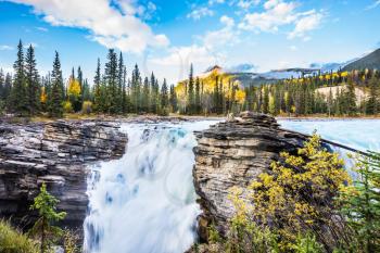 The full-water bubbling waterfall of Athabasca. Cold blue water at sunset. Clear autumn evening in Jasper National Park. The concept of extreme and ecological tourism