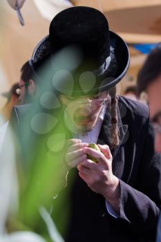  JERUSALEM, ISRAEL - OKTOBER 16, 2016: Traditional market before the holiday of Sukkot. Religious young Jew in a black hat and with side curls carefully checks the citrus - etrog