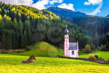 Magnificent summer sunset in Tirol. Chapel of St. Mary Magdalene and the bell tower in the valley of  Dolomites. Sleek horse resting in the tall grass. The concept of eco-tourism 
