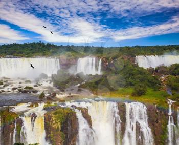Andean condors fly in the water dust. Grandiose waterfalls Iguazu in South America, on the border of three countries: Brazil, Argentina and Paraguay. Concept of active and extreme tourism